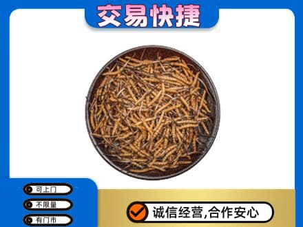 崇左宁明县高价回收散虫草